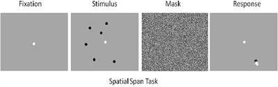 Cognitive Workload and Workload Transitions Elicit Curvilinear Hemodynamics During Spatial Working Memory